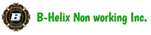 B Helix Brand Matrix Plan